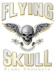 Flying Skull